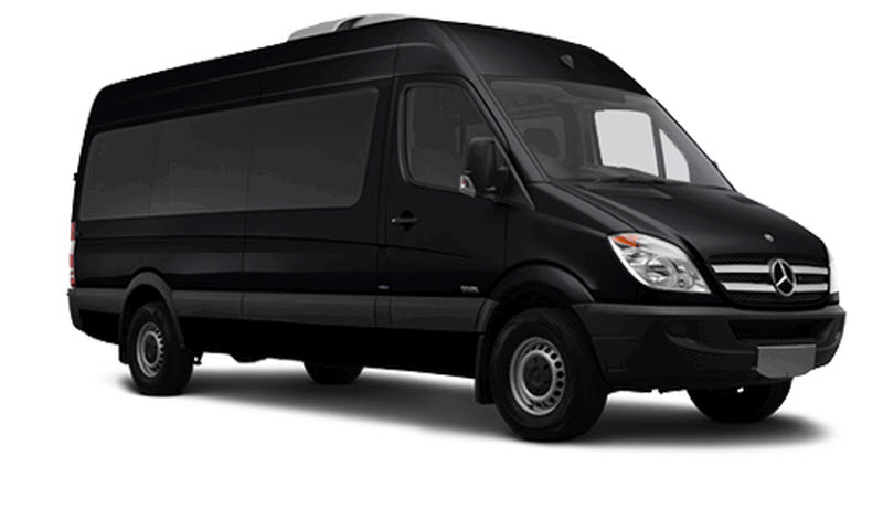 Private Tour - Sprinter (12 Pax Max)