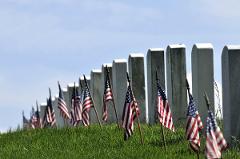 ARLINGTON CEMETERY & DC HIGHLIGHTS TOUR