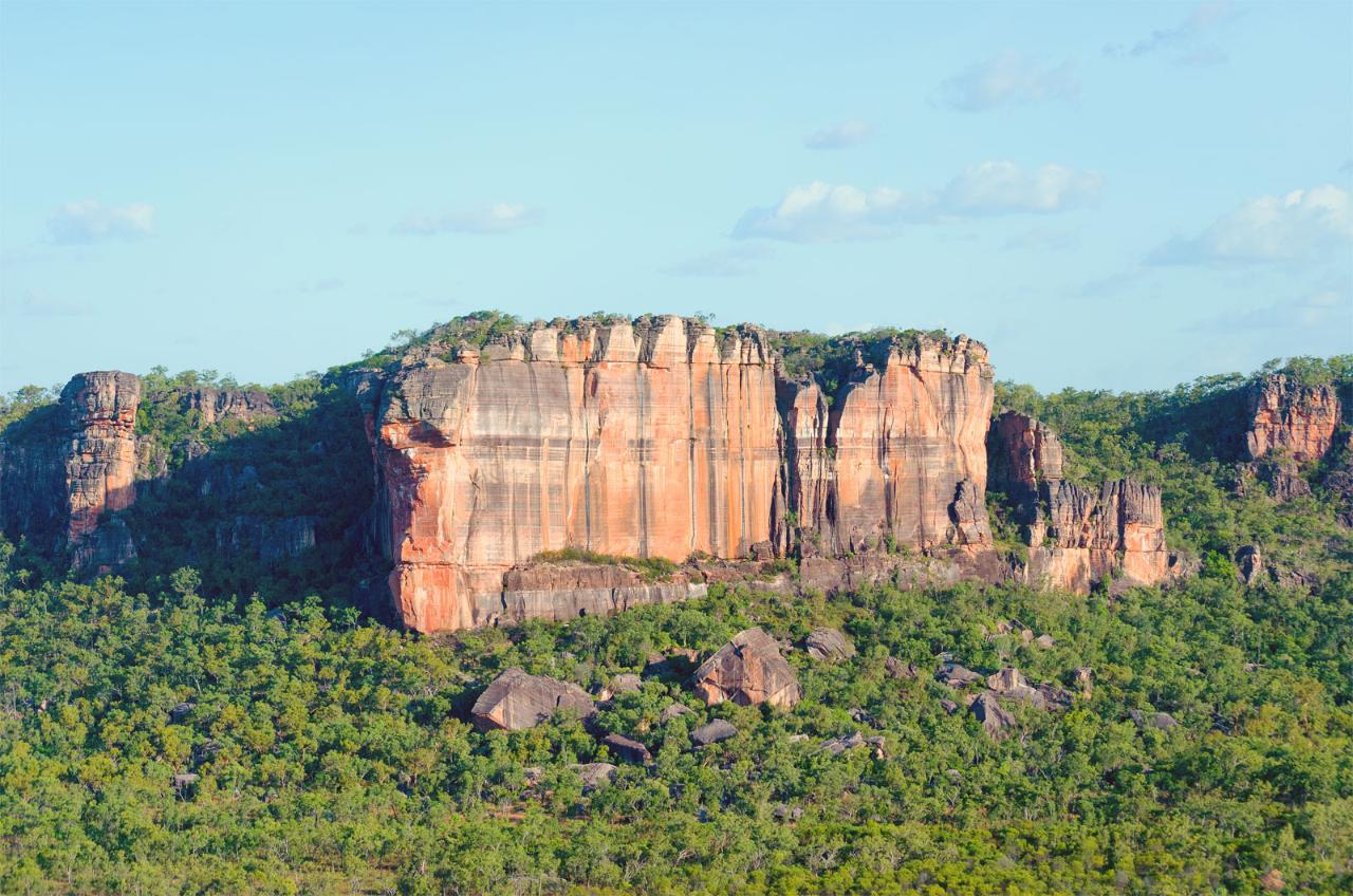 Jabiru 60 Minute Scenic Tour