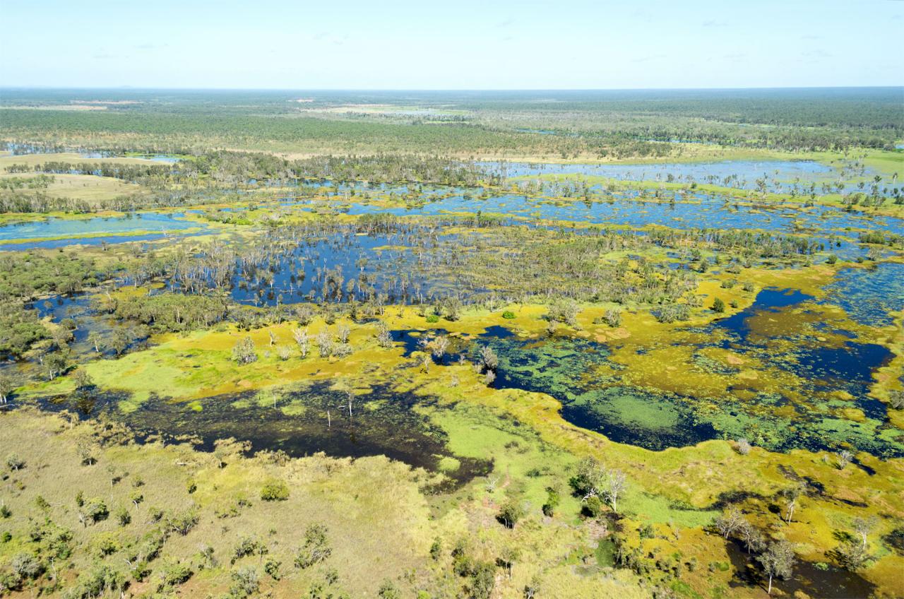 Cooinda 30 minute Scenic Flight
