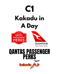 Kakadu in a Day Tour - QPP