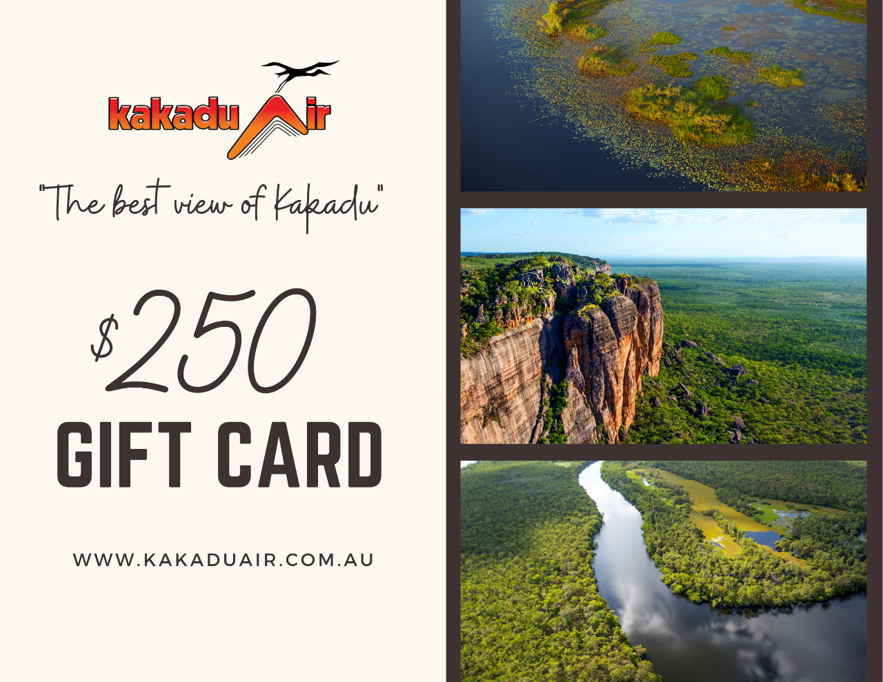 $250 Gift Voucher