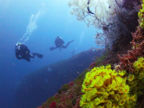 Morning double dive tour for qualified diver