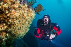 Milford Sound Dive Tour for divers without drysuit experience (includes SSI drysuit course and qualification)