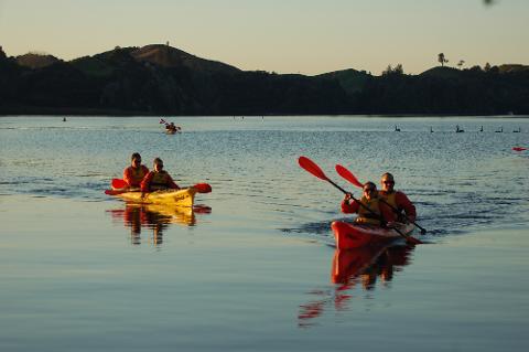 Evening Glow Worm Kayak Tour