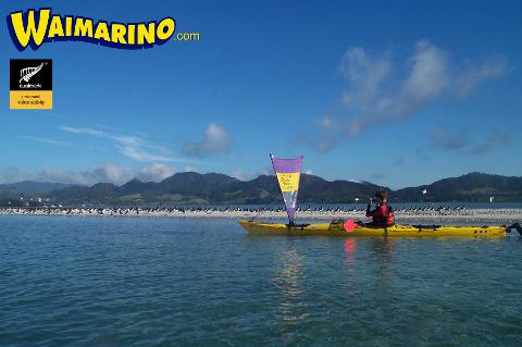 Tauranga Sea Kayak Tour