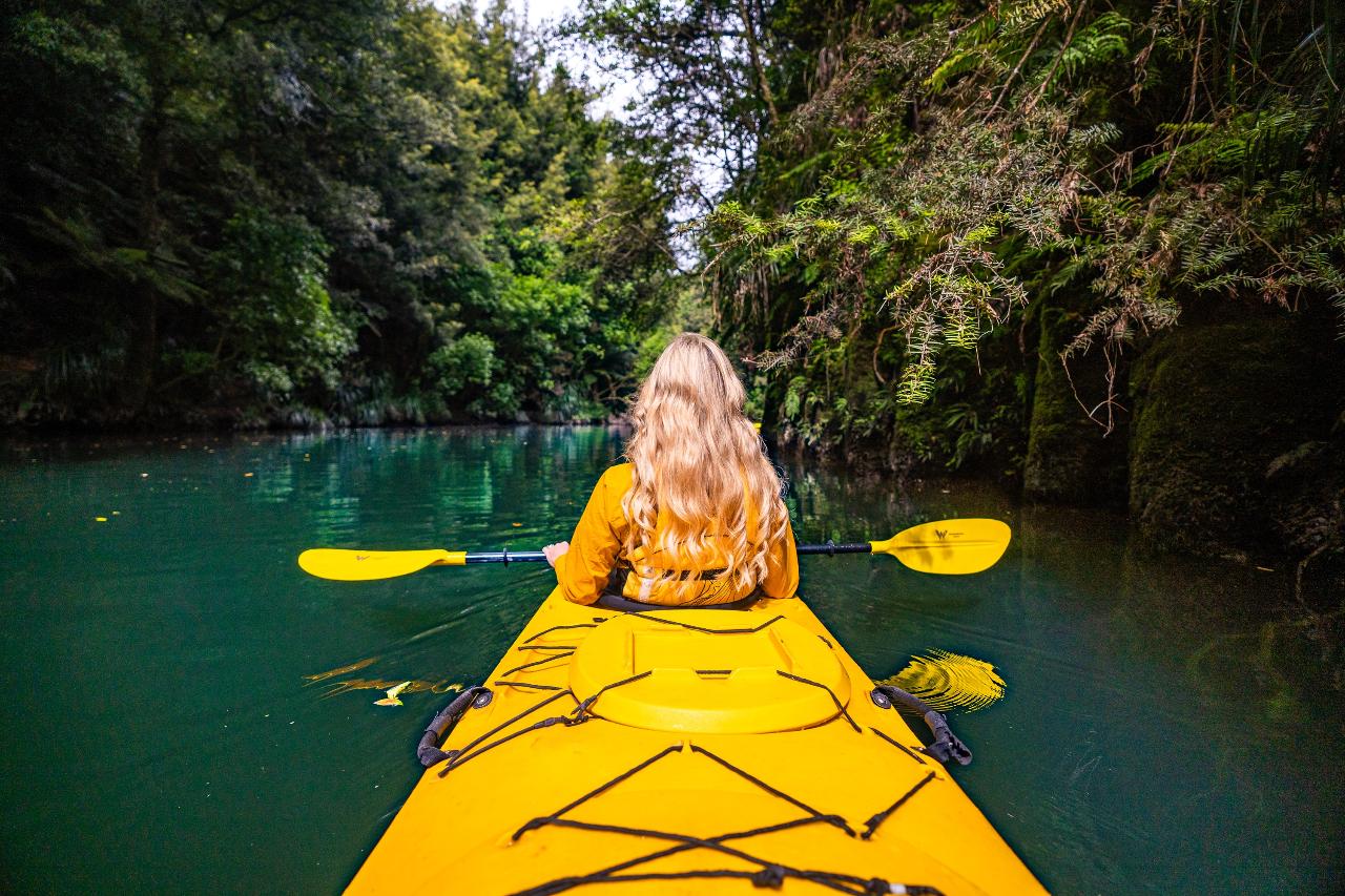 Scenic Lake Mclaren Kayak Tour