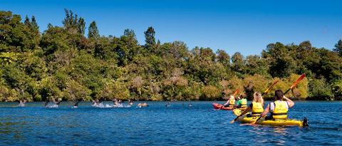 Scenic Lake Mclaren Kayak Tour