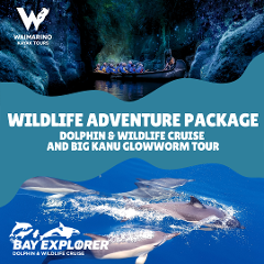 Wildlife Adventure Package: Bay Explorer & Waimarino Kayak Tours