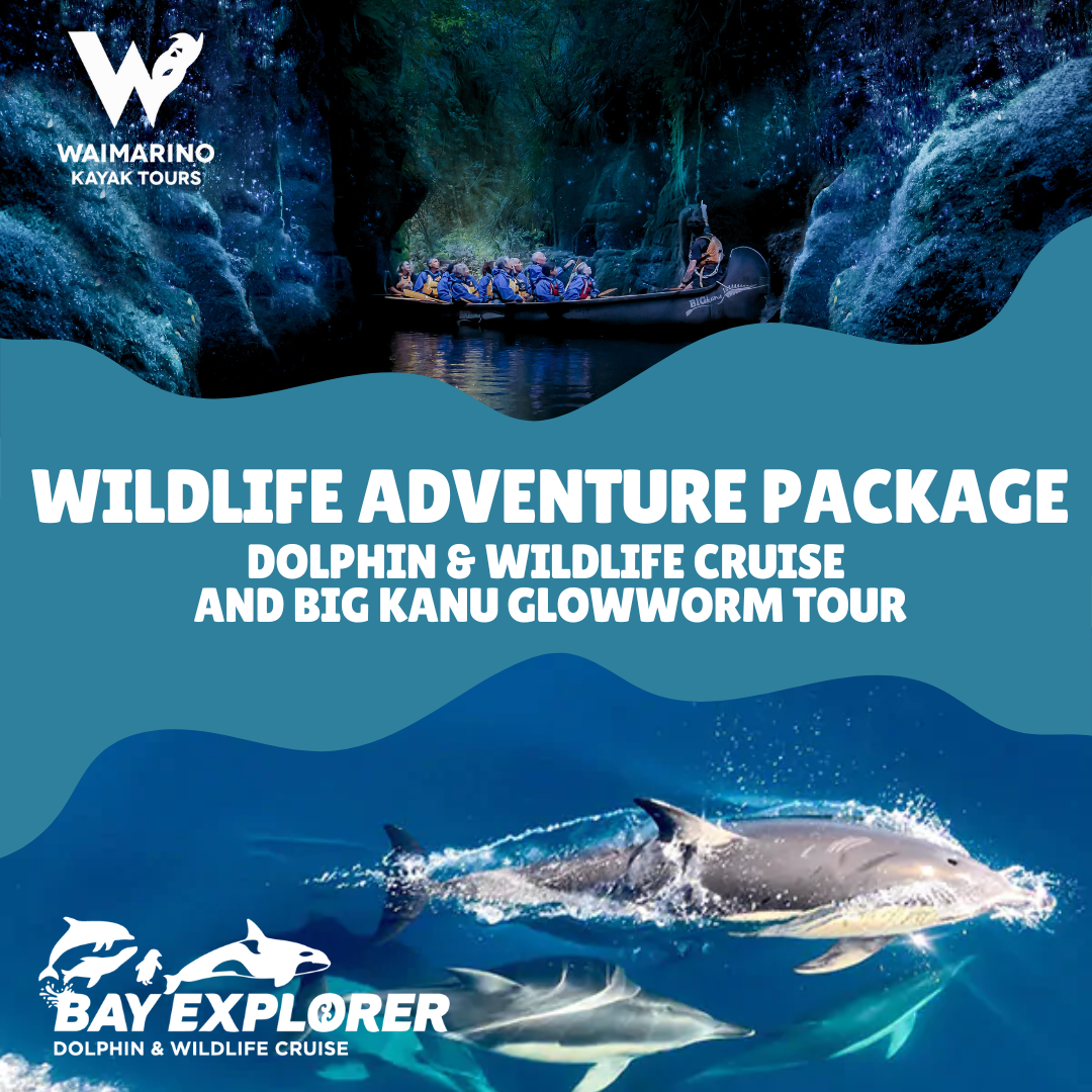 Wildlife Adventure Package: Bay Explorer & Waimarino Kayak Tours