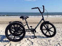 Adult Tricycle Rental