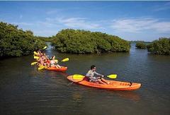Neil Preserve Eco Kayak Tour