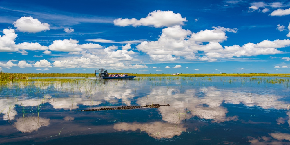 4-Hour Everglades Express from Fort Lauderdale with Airboat Ride