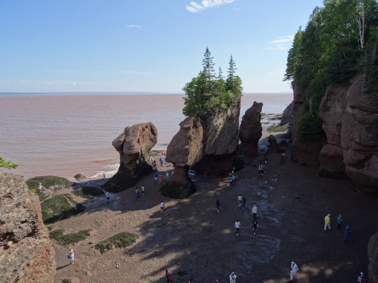 Best of Hopewell Rocks & Fundy National Park from Moncton