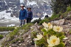 Best Of Banff And Yoho Hiking Tour With Hotel Stays