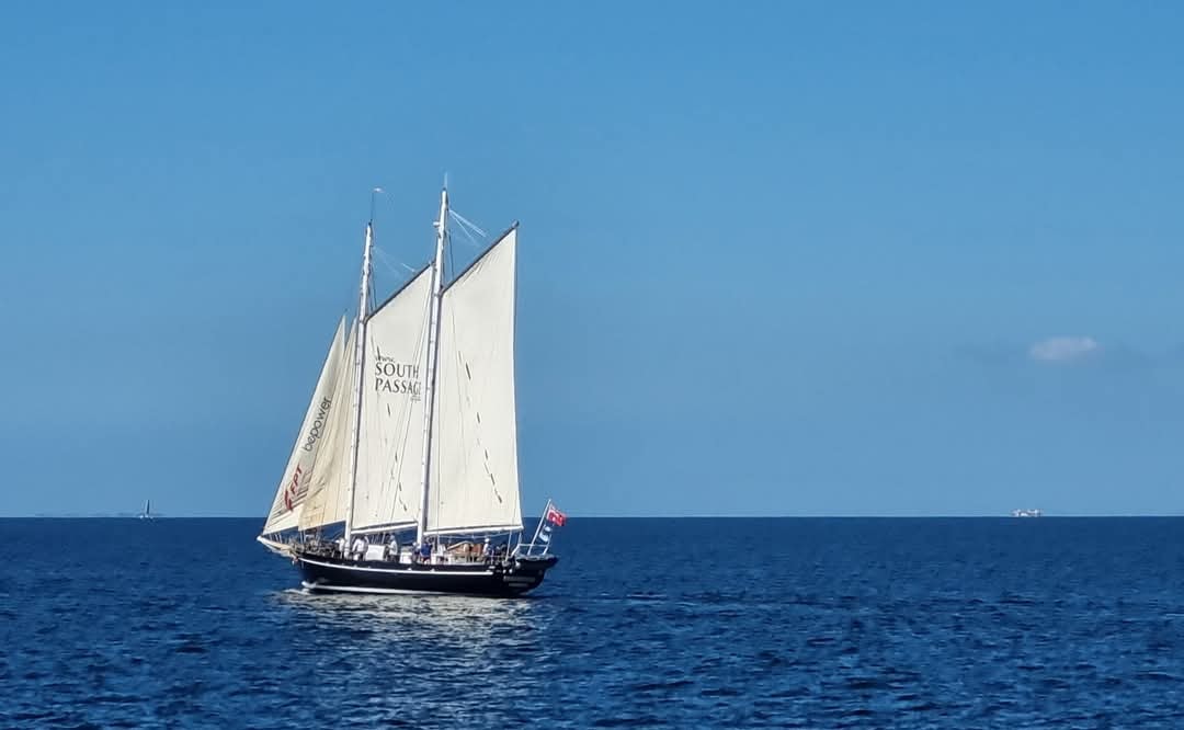 z 2025 Moreton Bay Day Sail, Sunday 16 November, 10am - 4 pm