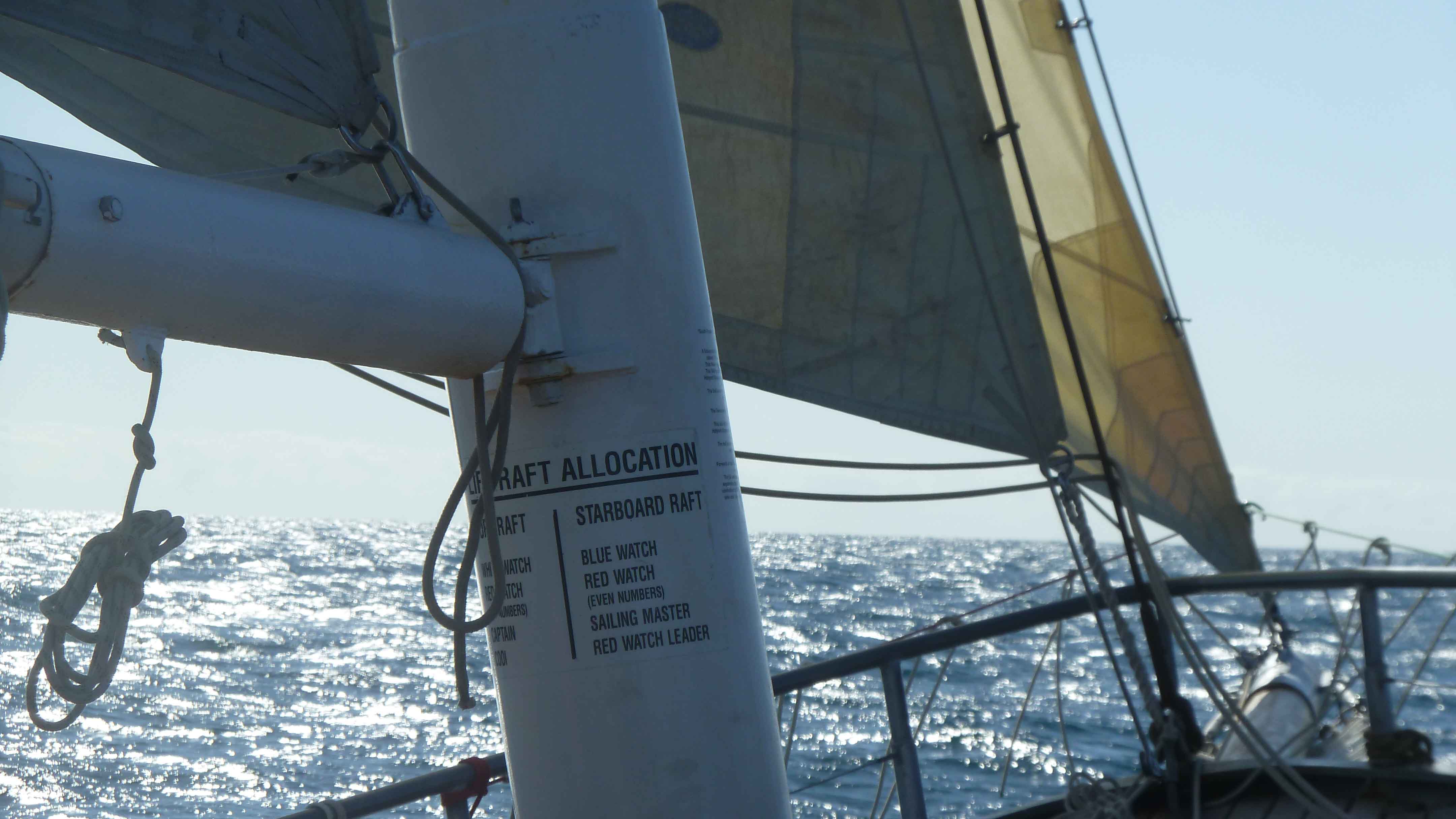 2023 Moreton Bay Midweek Day Sails Thursdays 10am 2pm The Sail