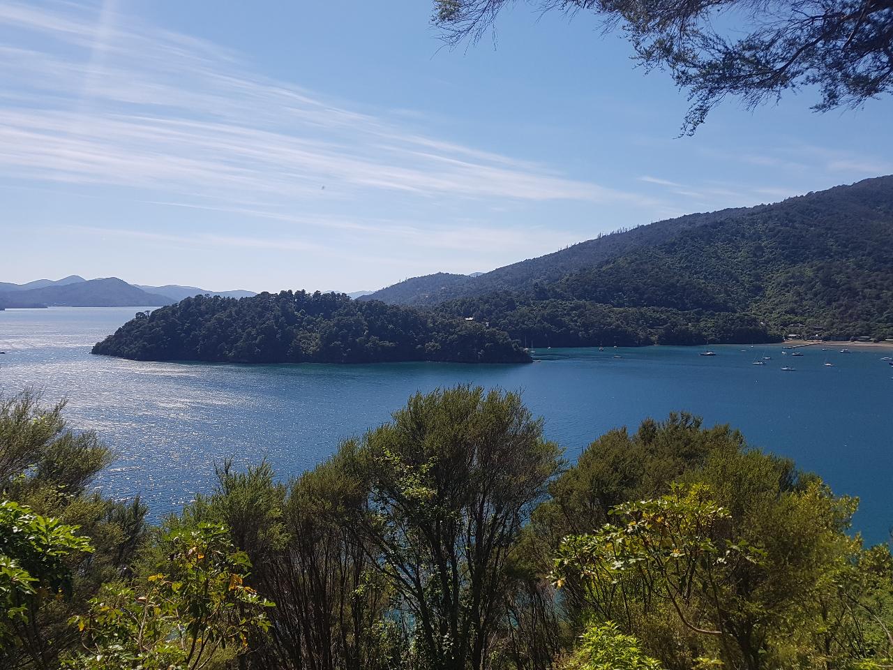 Ngakuta Bay to Momorangi Bay Self guided walk