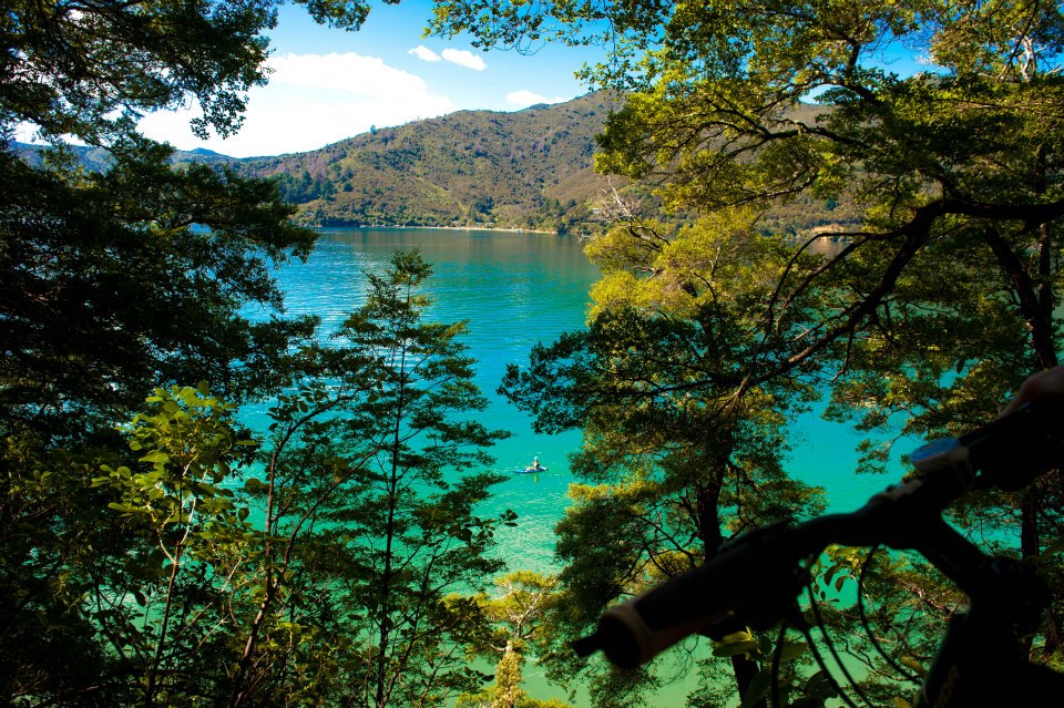 (3) One Day Queen Charlotte Track Walk - Ship Cove to Punga Cove