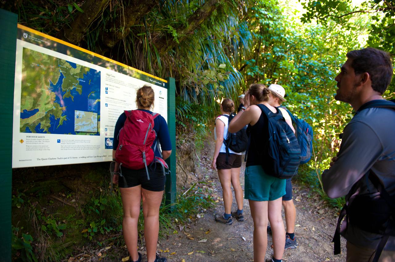 2 Day Punga Cove Resort Queen Charlotte Track | Transport and Accommodation Package 