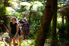 4 Day Queen Charlotte Track | Accommodation and Transport Package 