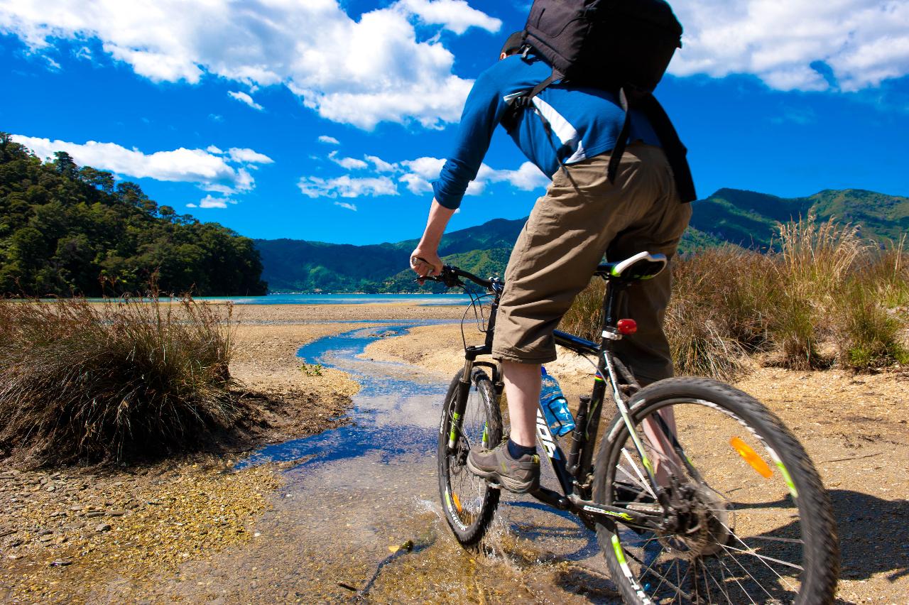 (3) One Day Mountain Bike QCT - Ship Cove to Furneaux Lodge