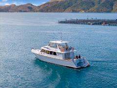 Premium Paua Pearl Farm Tour - Lady Ann Charter