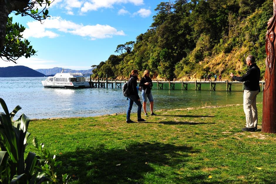 Ultimate Marlborough Day Out / Ship Cove Cruise