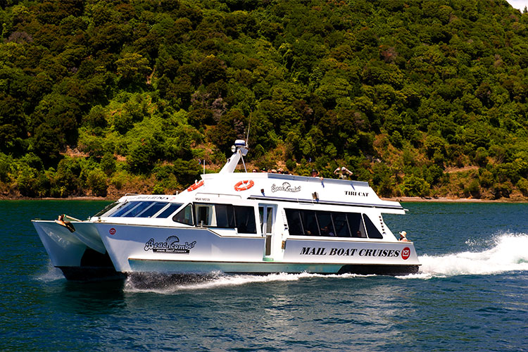 Cruise Ship Days Special - Queen Charlotte Sound Cruise