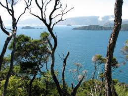 Motuara Island Bird Watchers Cruise