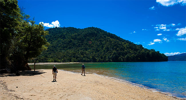 (1) One Day Queen Charlotte Track Walk - Torea Bay to Anakiwa