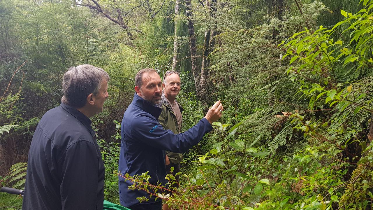 Coast and Rainforest Walk