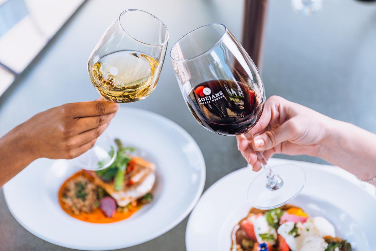Auckland Wine Country with lunch