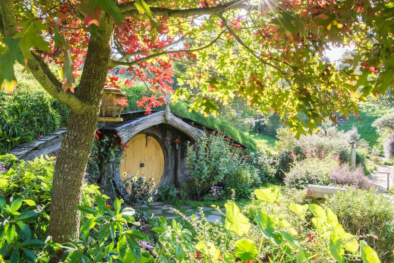 Early Access Tour to Hobbiton Movie Set