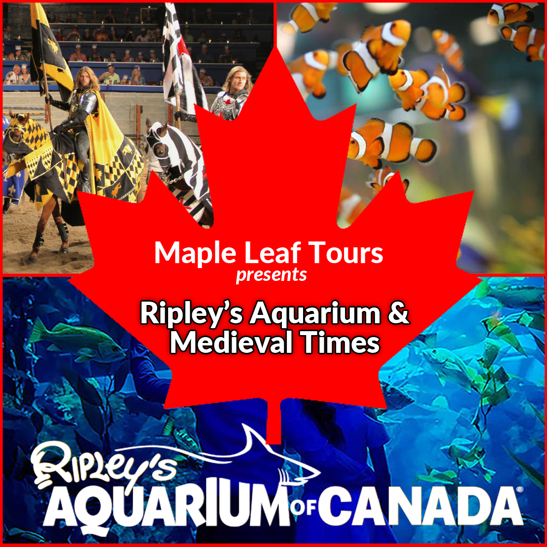 Ripley's & Medieval Times