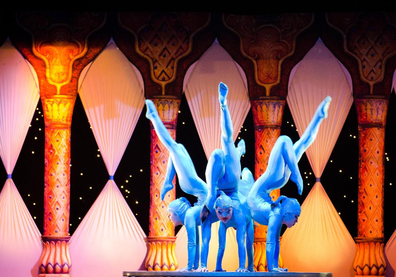 Cirque Du Soleil "ECHO"