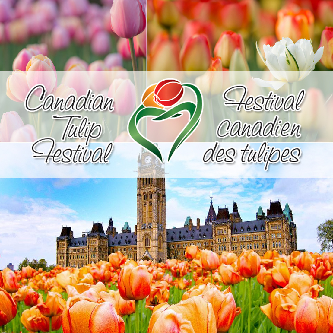 Ottawa Tulip Festival 