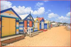 彩虹小屋+ 墨尔本企鹅岛游Brighton Beach Bathing Boxes+ Phillip Island Tour