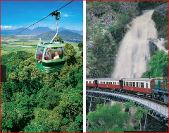 凯恩斯库兰达发现远古热带雨林单程缆车+单程观光火车Skyrail Rainforest Cableway plus Train