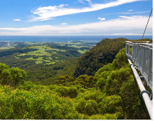  飞行树顶步道入场券Fly Treetop Walk Entry