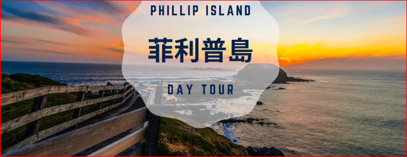 墨尔本企鹅岛游 Phillip Island Tour