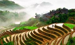 【纯玩】桂林 / 德天瀑布 / 越南 12天 Guilin, Detian Waterfall & Vietnam 12 Days