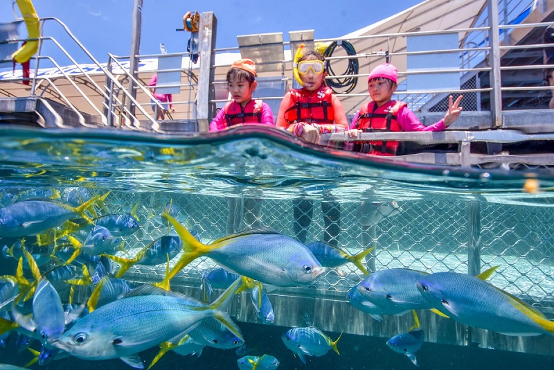 【圣诞团】2024凯恩斯4日大堡礁热带雨林超值体验团 Cairns 4 Day Great Barrier Reef, Rainforest Christmas Tour