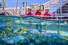 【圣诞团】2024凯恩斯4日大堡礁热带雨林超值体验团 Cairns 4 Day Great Barrier Reef, Rainforest Christmas Tour