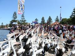 【圣诞新年团】中央海岸感动3天巴士团 Central Coast Dynamic 3 Day Bus Tour