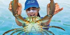黄金海岸翠儿河捉蟹+生蚝农场半日游 Gold Coast Crab Catching & Oyster Farm Half Day Tour