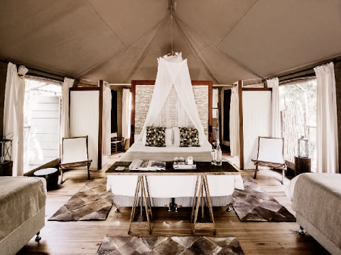 杰维斯湾纸皮树林豪华露营体验 Jervis Bay Paperwood Grove Glamping Experience