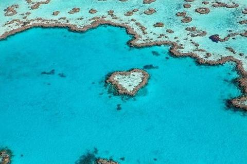 【2026复活节团】2026汉密尔顿岛 复活节4天 Hamilton Island 4 Day Easter Tour
