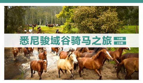骏域谷骑马之旅 Horseback Riding 1 or 2 hours