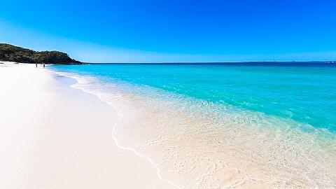 杰维斯港一日游 Jervis Bay Day Tour